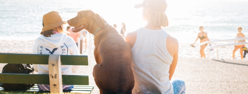 sitting with dog