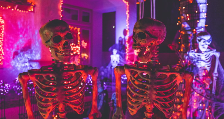 spooky skeletons 