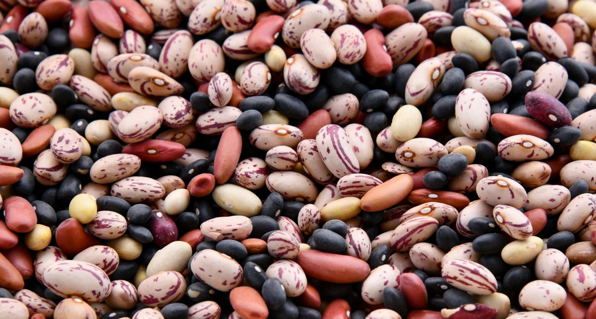 collection of beans