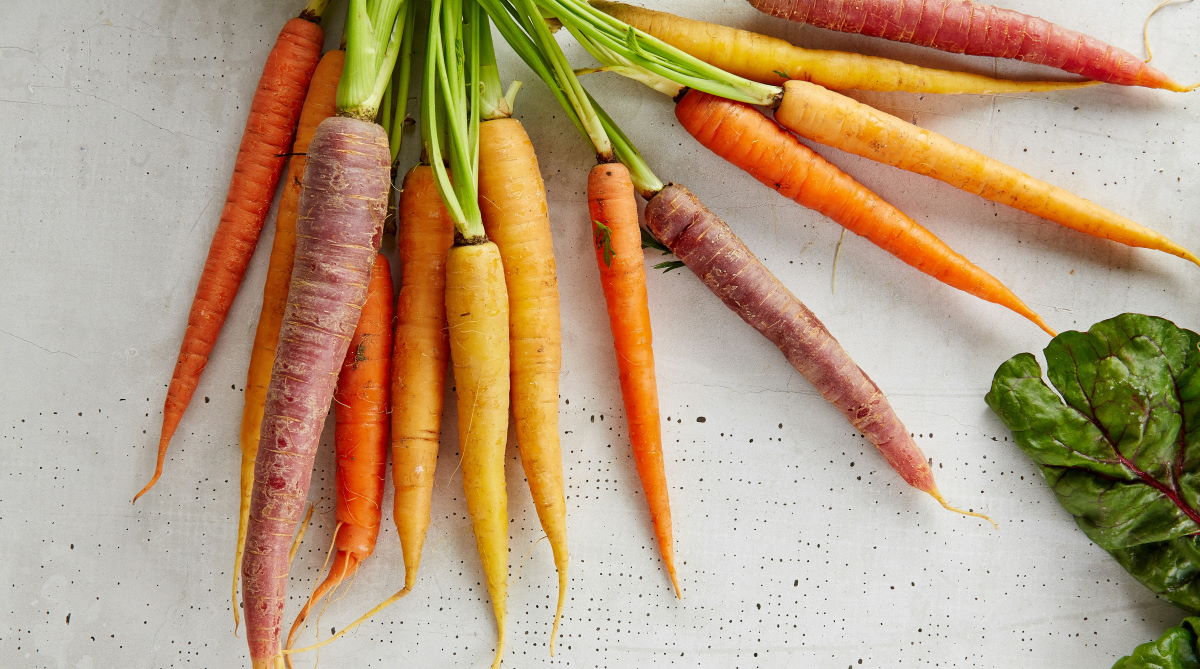 multi coloured carrots 