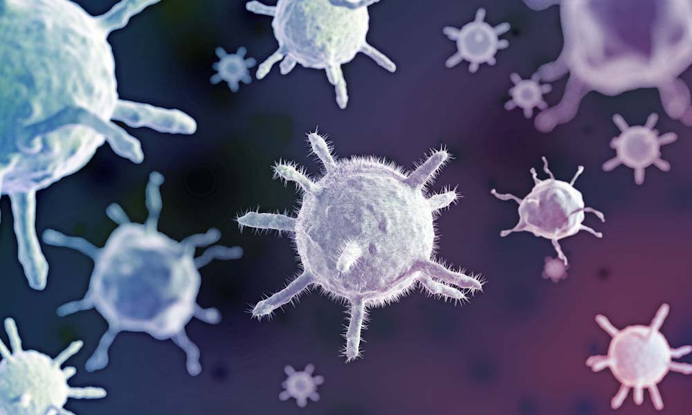 infection up close